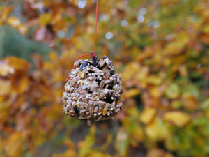 APOLINA MAKES: Pinecone bird feeder
