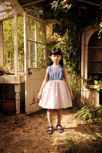 Apolina - Lola Embroidered Dress in Wallflower/ Azul - Child