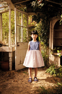 Apolina - Lola Embroidered Dress in Wallflower/ Azul - Child