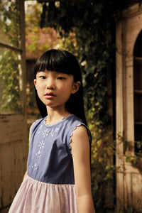 Apolina - Lola Embroidered Dress in Wallflower/ Azul - Child
