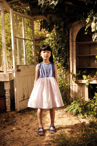 Apolina - Lola Embroidered Dress in Wallflower/ Azul - Child